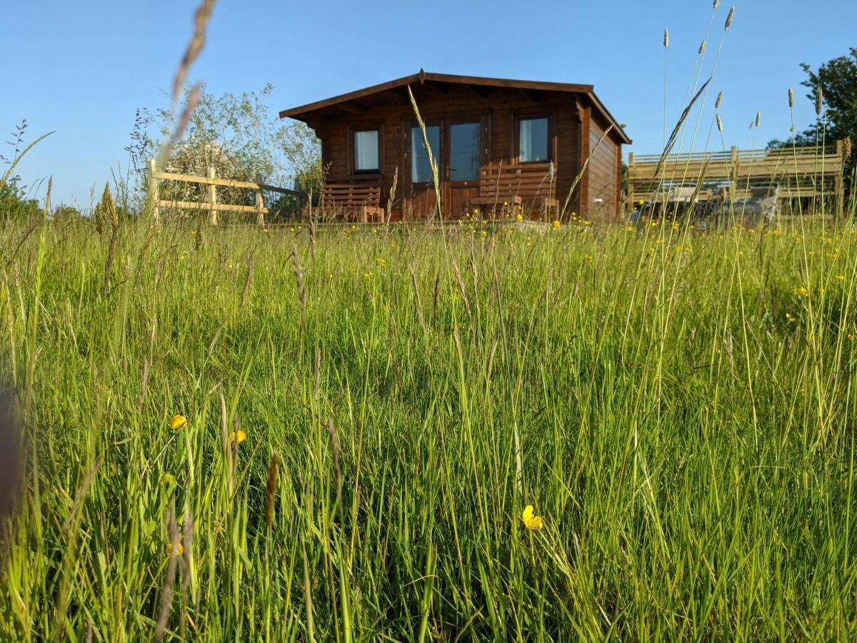 Foxhill Lodges Canterbury Eksteriør bilde